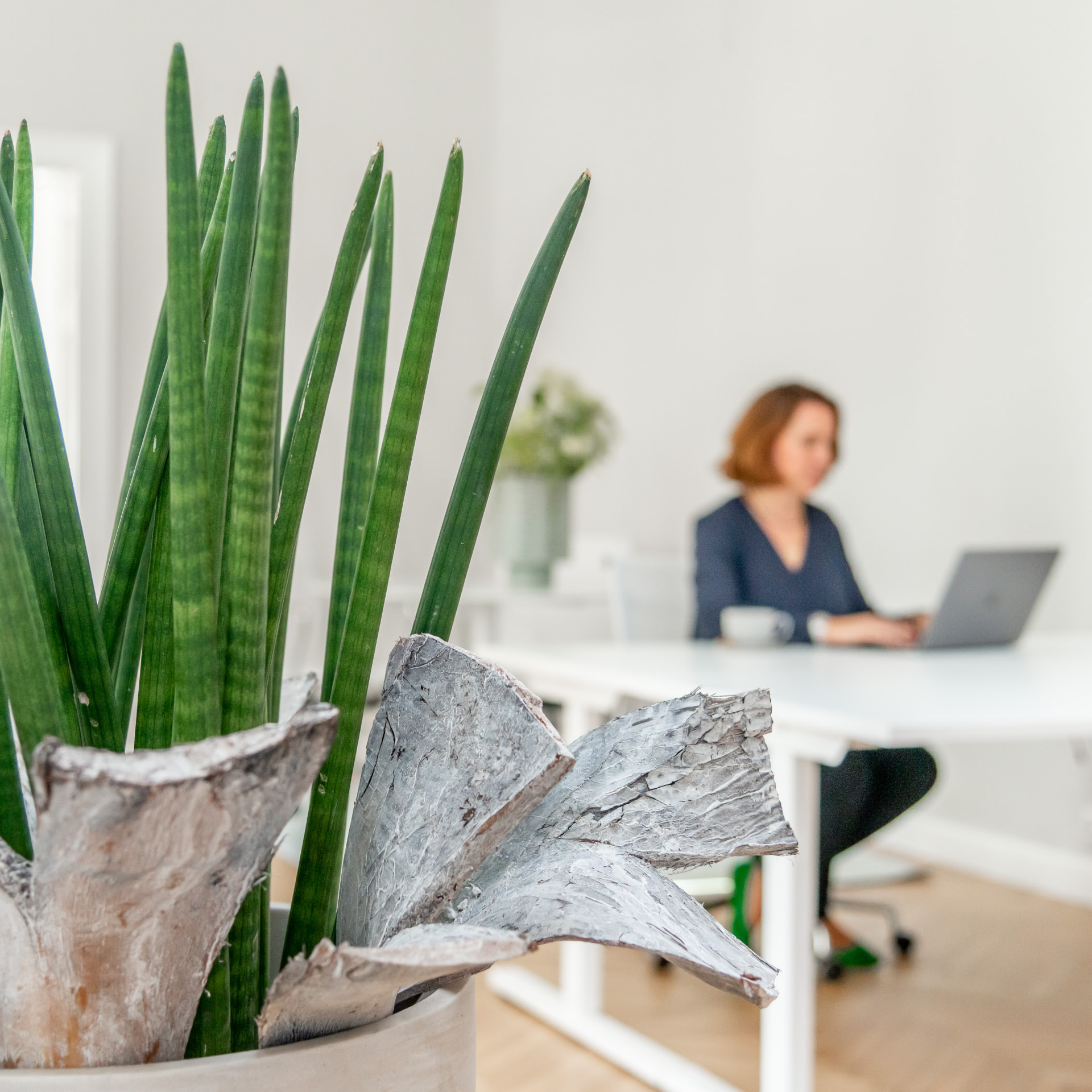Heller Arbeitsplatz mit höhenverstellbarem Tisch bei W2G Offices Fürth